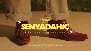 Madrigal - Sen ya da Hiç (Yeşil Vadi Live Sessions) #2