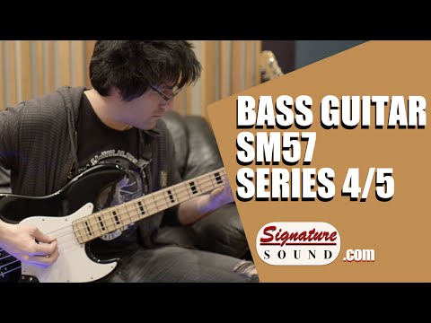 Bass Guitar - Home Studio Audio Recording and Mixing 4/5