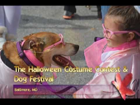 Pictures of The Halloween Costume Contest and Dog Festival, Baltimore, MD, US