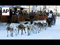 Canine deaths cast shadow over Alaskas Iditarod dog sled race