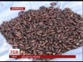 Более тысячи боевых патронов обнаружили на Житомирщине