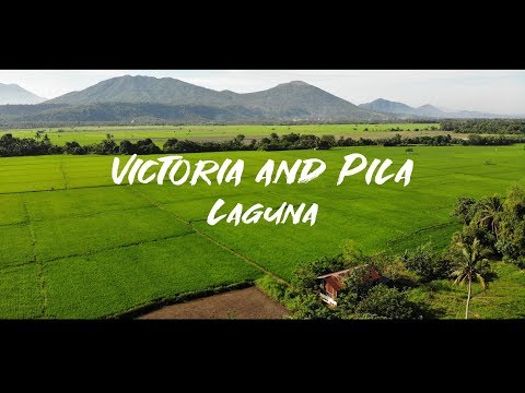 Upload mp3 to YouTube and audio cutter for Victoria and Pila, Laguna, Philippines Drone Footage download from Youtube