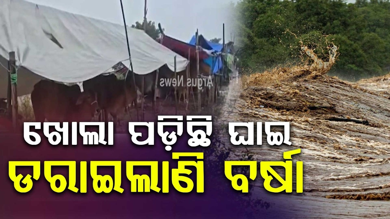 ajpur Flood Victims In Fear As Rain Continues | Breach Repair Work Delayed In Kani River |Argus News