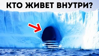 Лестница, найденная в пещере Антарктики // Самые загадочные уголки Земли