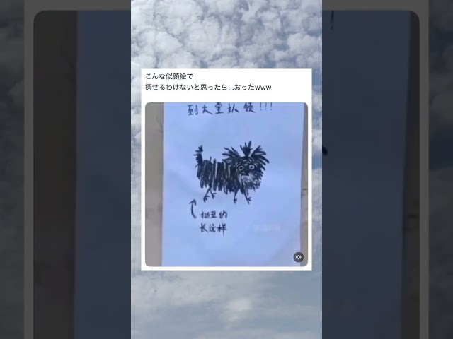 想像以上に似てて草 #shorts #動物 #おすすめ