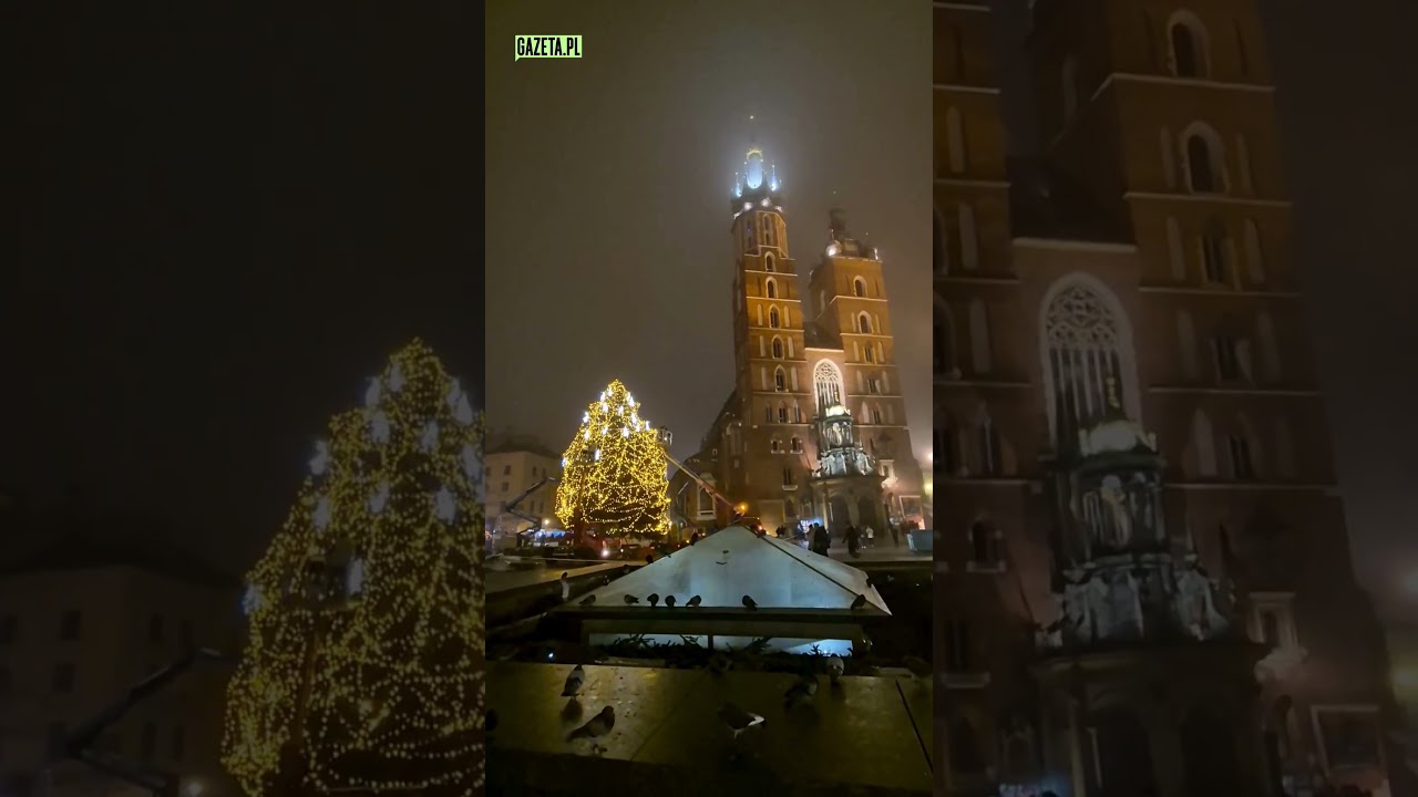 Christmas tree in Krakow #kraków #święta
