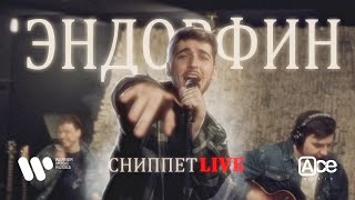 MORRALY — ЭНДОРФИН | Live