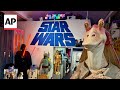 Heres why May the 4th is celebrated as Star Wars Day across the galaxy