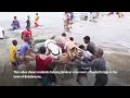 Floods kill dozens in Somalia  - 00:50 min - News - Video
