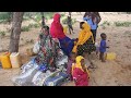 Floods kill dozens in Somalia