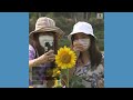 Thousands of sunflowers bloom in Bangkok city park  - 00:59 min - News - Video