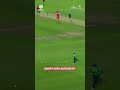 Heather Knight makes it look effortless with a classy boundary through square. | #T20WorldCup