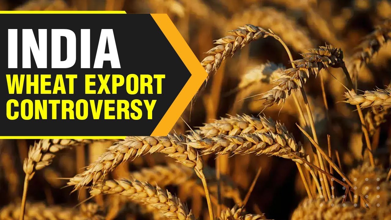 Wheat: How important is it to the world and why has India banned its export? | WION Originals
