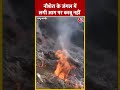 Jammu-Kashmir: नौशेरा के जंगल में लगी आग पर काबू नहीं #shorts #shortsvideo #shortsviralvideo - 00:47 min - News - Video