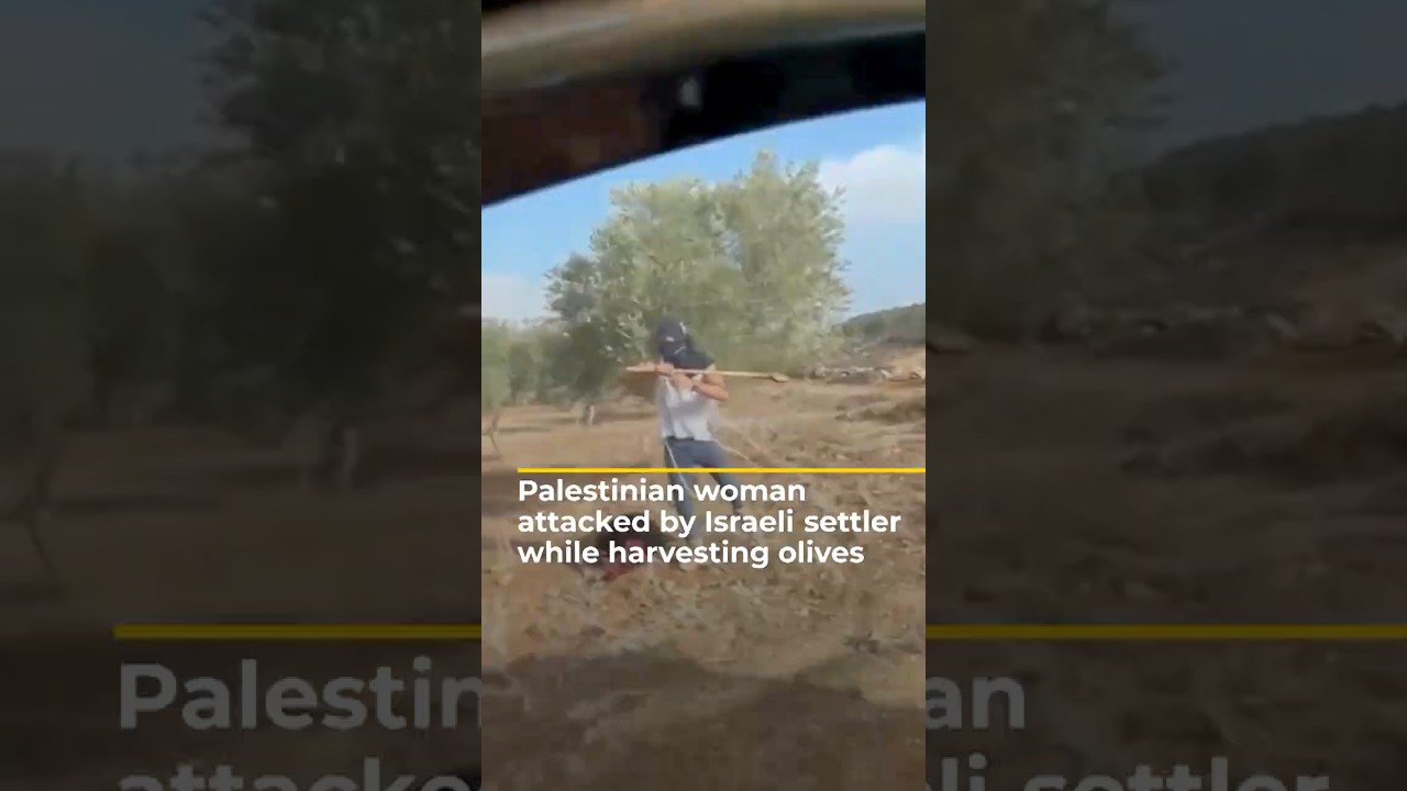 Palestinian woman attacked by Israeli settler while harvesting olives
