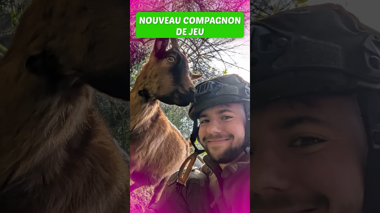 Nouveau compagnon de jeu #airsoft #airsoftgameplay #airsoftvideo