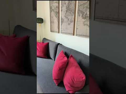 Video realizado por la propiedad