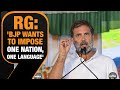 Rahul Gandhi Slams BJP for conforming India: Fact Check on Discord and Diversity | News9