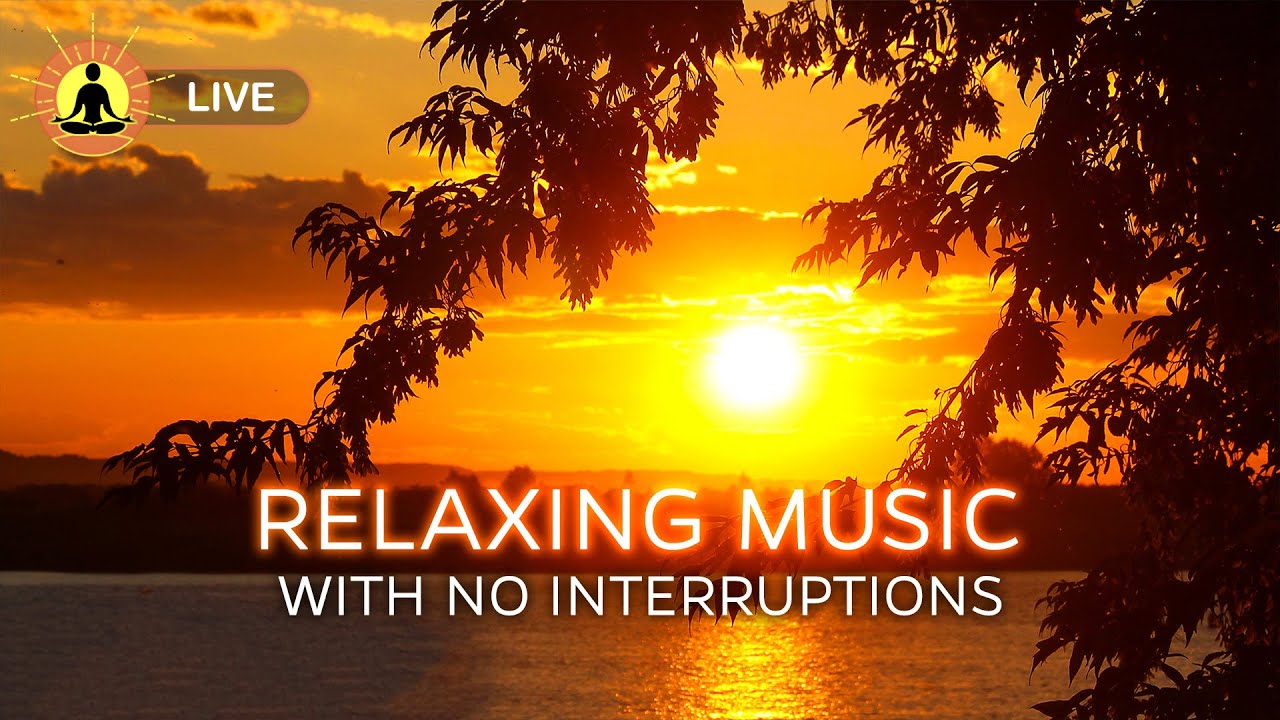 🔴 Peaceful & Soothing Sleep Meditation Music 24/7 🌙3378: Relieve Insomnia | Deep Sleep Therapy, Spa