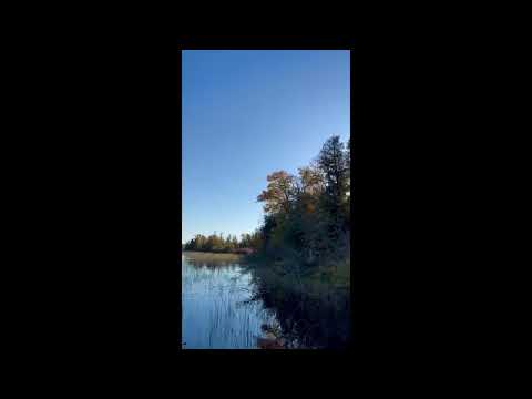 Vidéo de l’hébergement