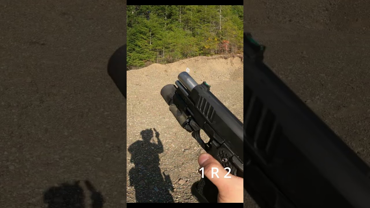 STACCATO P DUO W/ Aimpoint ACRO P2 and Surefire X300 Turbo
