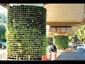 Vertical Gardens to Come Up on Pillars of Flyovers in Hyderabad