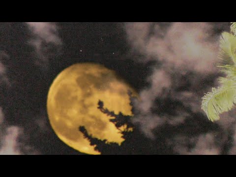 Donald Morin - Sky People I Wonder Why Talking Story 2025