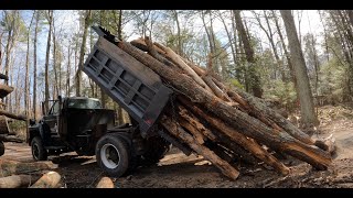 Getting rid of logs
