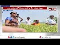 ప్రభుత్వం పై బండి సంజయ్ కామెంట్స్ | Bnadi Sanjay Comments On TS Govt | ABN Telugu  - 02:31 min - News - Video