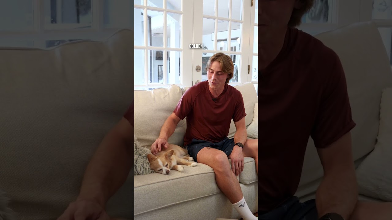 Meet the Alshon Doggo Fam!