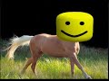 Mp3 تحميل Oof Town Road Old Town Road Roblox Oof Remix أغنية تحميل موسيقى - roblox oof bass boosted 1 hour