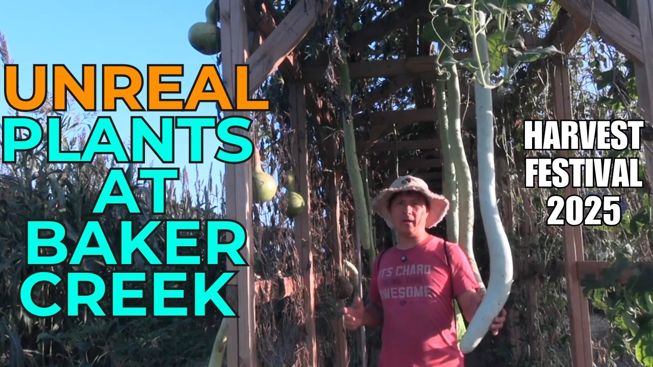 2025 Baker Creek Heirloom Harvest Festival - Highlights You Missed