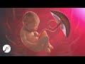 Fr Immer Jung Bleiben - Regeneriere deine Telomere (Zellen Regeneration Musik)[1]