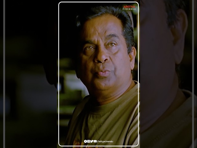 #Brahmanandam & #Siddharth #Funny #Conversation🤭 | #KonchemIshtamKonchemKashtam #Tamannaah #YTShorts