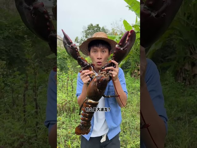 Have you ever eaten such a big lobster|Chinese Mountain Forest Life And Food #MoTiktok #Fyp