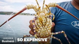 Why 6 Of The World's Priciest Seafoods Are So Expensive | So Expensive | Business Insider