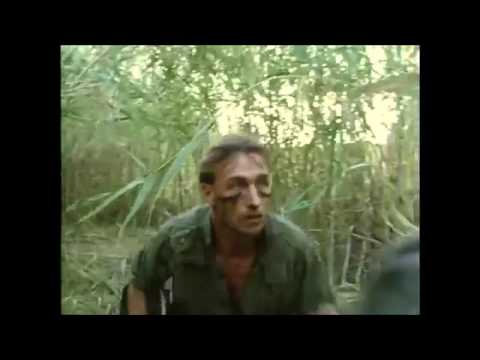 Zombie Brigade'