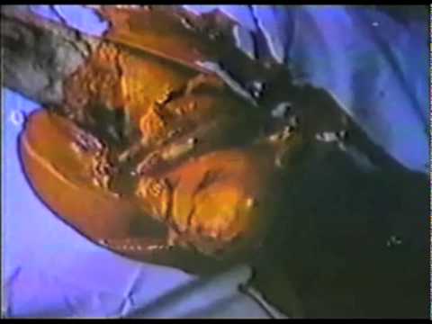 A Night to Dismember'