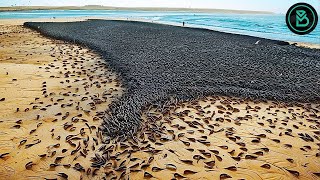 The World's Most Amazing and Strange Natural Phenomena You've Never Seen