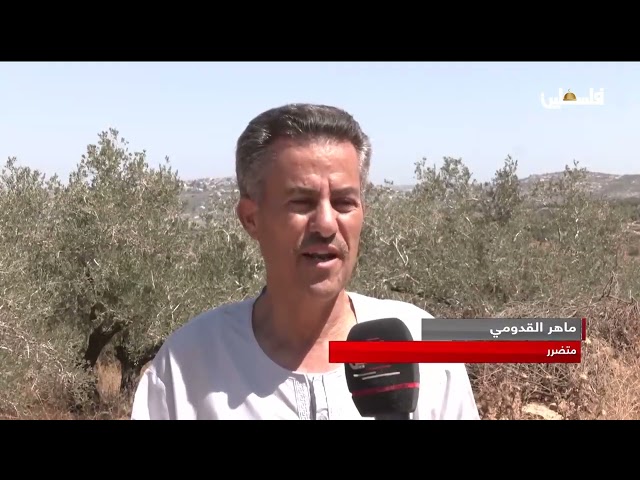 إقامة بؤرة استيطانية جديدة على أراضي كفر قدوم شرق قلقيلية