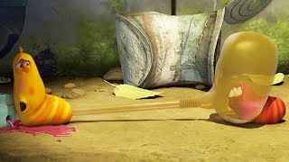 Larva - Brko