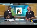 11 TV Hill: Fleet Weeks impact on Baltimore(WBAL) - 04:37 min - News - Video