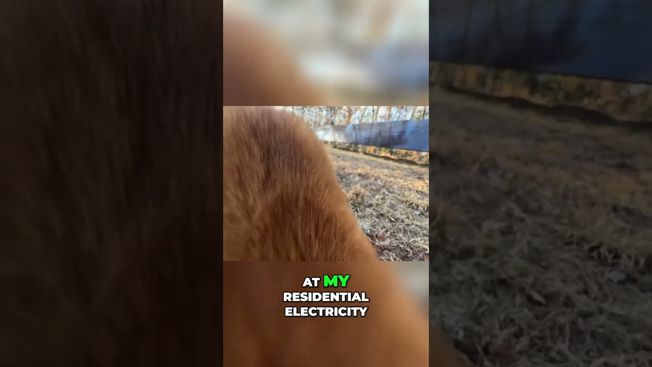 Solar Power: Generating Passive Income & Crushing Your Electric Bill! shorts