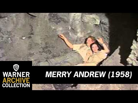 Merry Andrew'