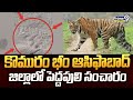 కొమురం భీం ఆసిఫాబాద్ జిల్లాలో పెద్దపులి సంచారం | Kumuram Bheem Asifabad District | Prime9