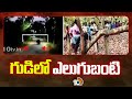 గుడిలో ఎలుగుబంటి | Bear Hulchul In Srikakulam District | 10TV