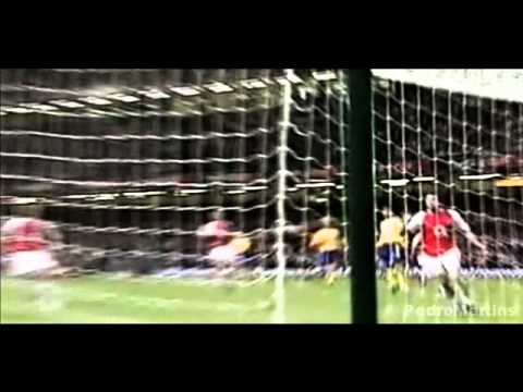 David Seaman - The Last Lion