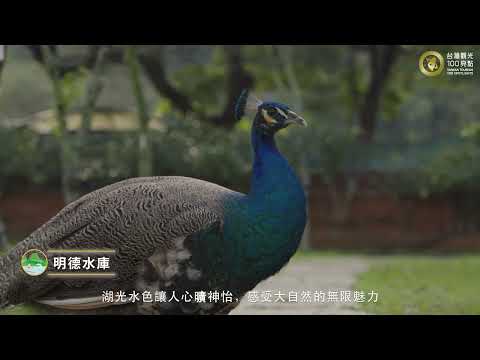 「2025台灣觀光100亮點‧苗栗精彩耀眼」宣傳影片