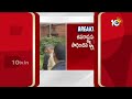 సాయంత్రం ఢిల్లీకి ఏపీ సీఎం చంద్రబాబు | Cm Chandrababu Delhi Tour | 10tv News  - 02:22 min - News - Video