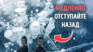 Если вы видите что-то подо льдом, не приближайтесь